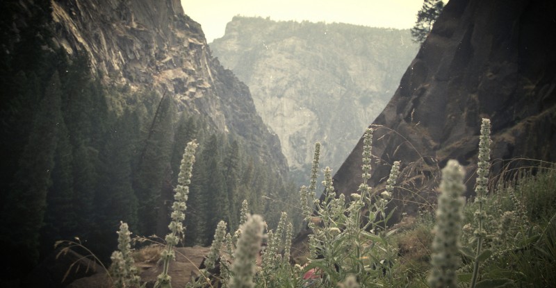 Matt Lief Anderson